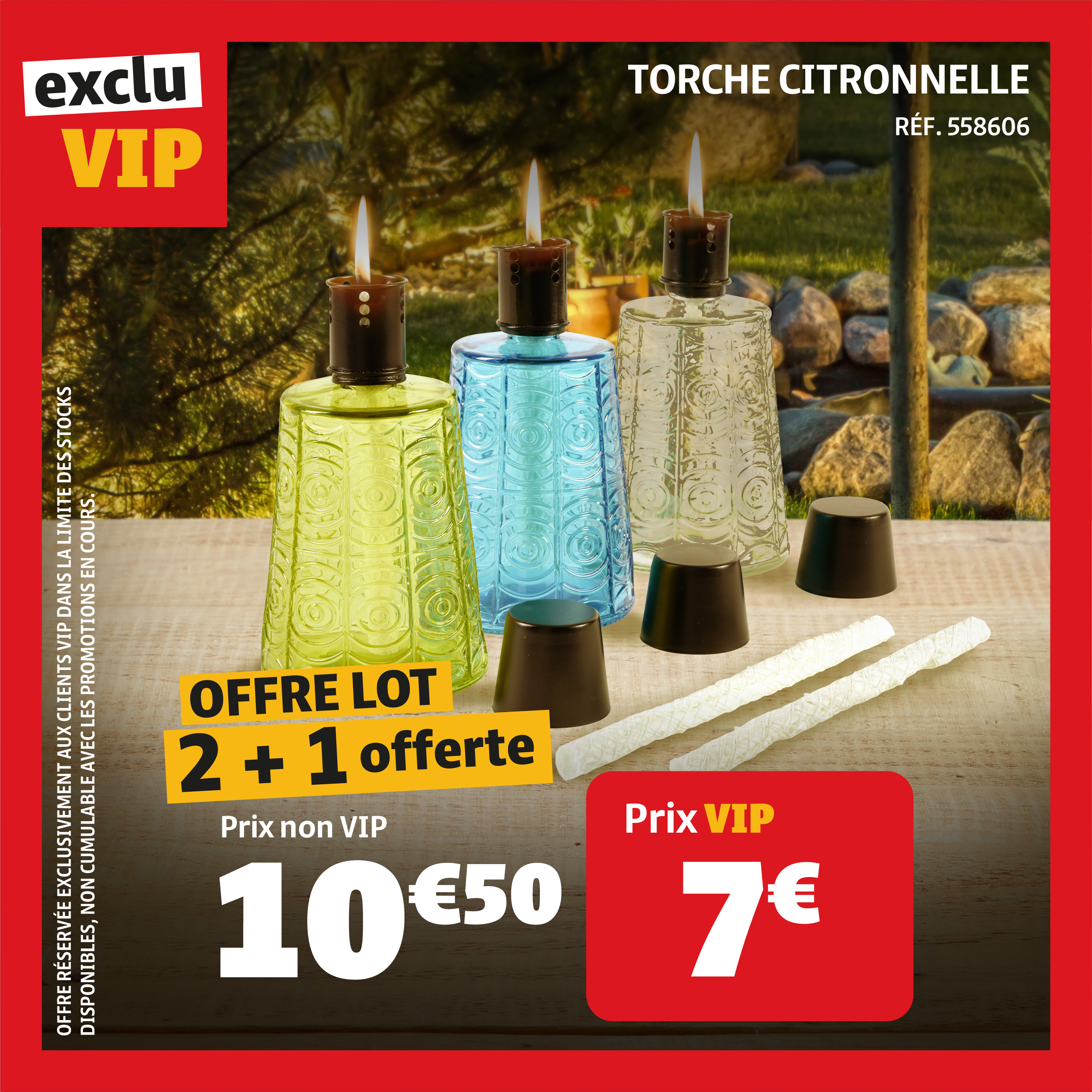 Offre VIP : 2+1 offert Offre VIP : 2+1 offert